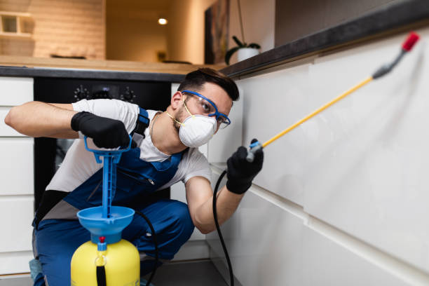 Best Termite Control Services  in Arnaudville, LA