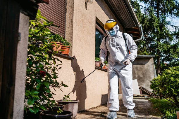 Pest Prevention Services in Arnaudville, LA