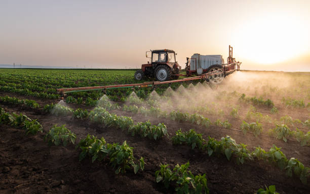 Reliable Arnaudville, LA Pest Control Solutions