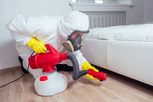 Best Affordable Pest Control Services  in Arnaudville, LA
