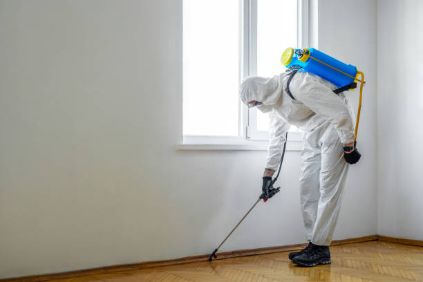 Best Pest Control Near Me in Arnaudville, LA