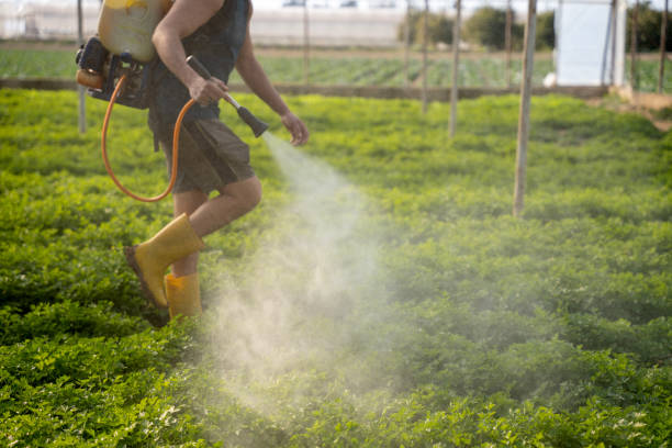 Best Pest Control Near Me  in Arnaudville, LA