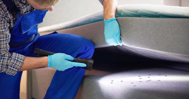Best Pest Prevention Services  in Arnaudville, LA