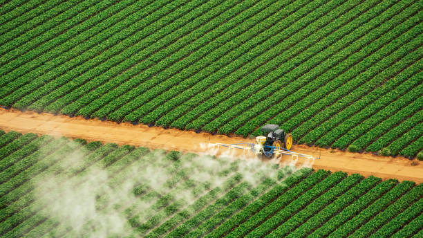 Best Residential Pest Control  in Arnaudville, LA