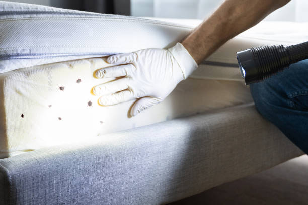 Best Exterminator Services  in Arnaudville, LA