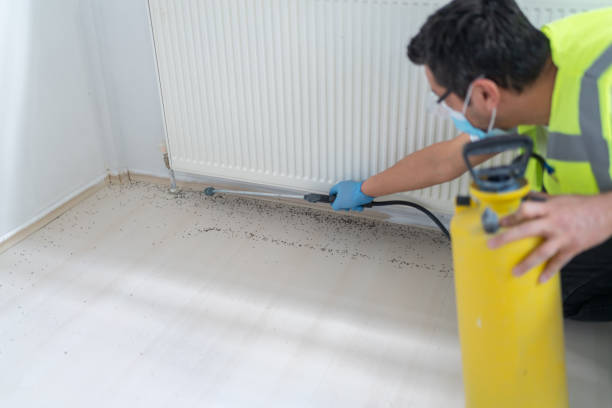 Best Bed Bug Extermination  in Arnaudville, LA